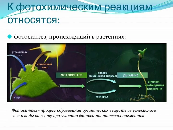 К фотохимическим реакциям относятся: фотосинтез, происходящий в растениях; Фотосинтез - процесс