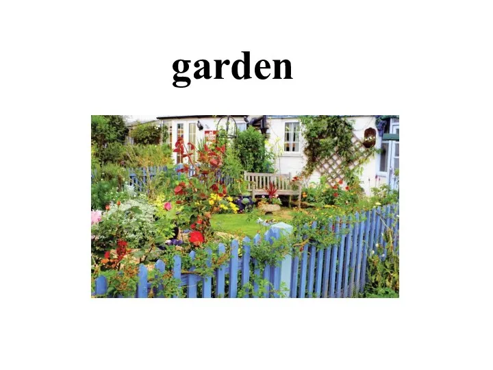 garden