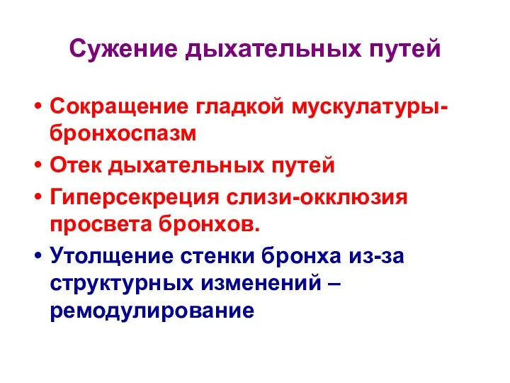 Сужение дыхательных путей Сокращение гладкой мускулатуры- бронхоспазм Отек дыхательных путей Гиперсекреция