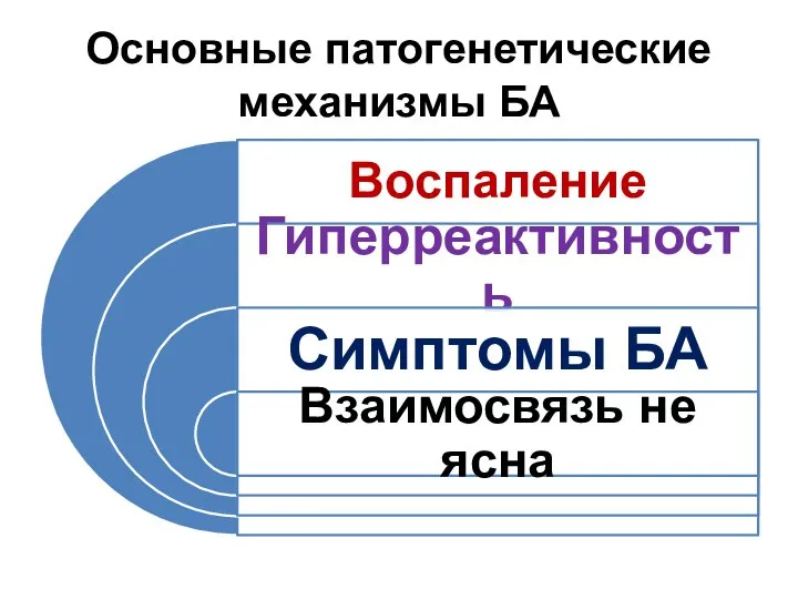 Основные патогенетические механизмы БА