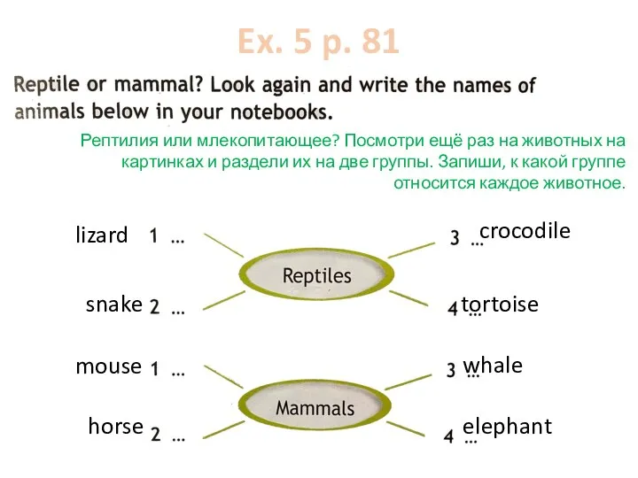 Ex. 5 p. 81 Рептилия или млекопитающее? Посмотри ещё раз на