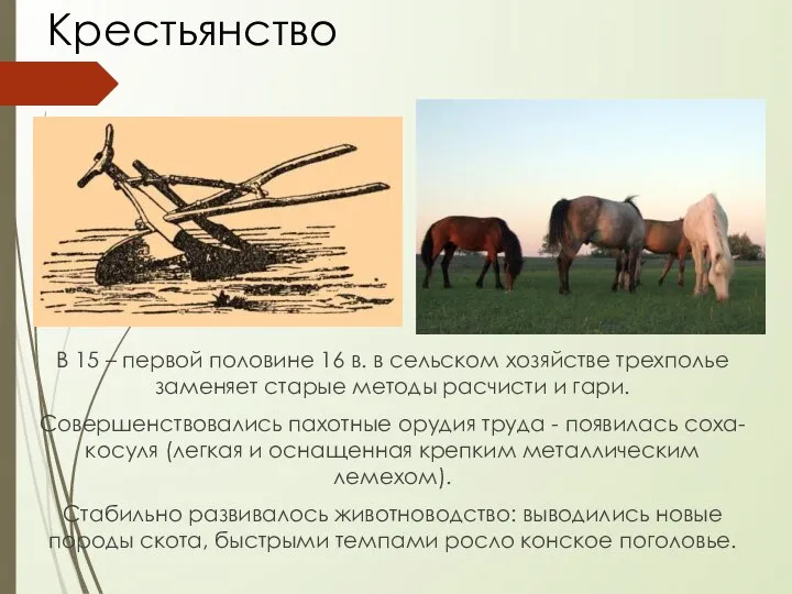 Крестьянство В 15 – первой половине 16 в. в сельском хозяйстве