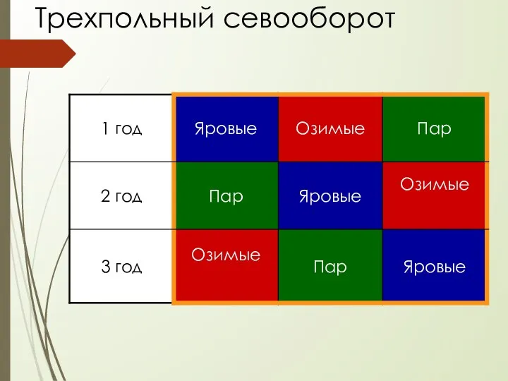 Трехпольный севооборот