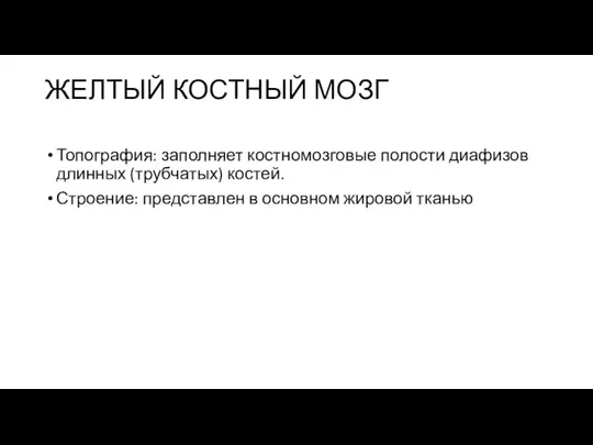 ЖЕЛТЫЙ КОСТНЫЙ МОЗГ Топография: заполняет костномозговые полости диафизов длинных (трубчатых) костей.