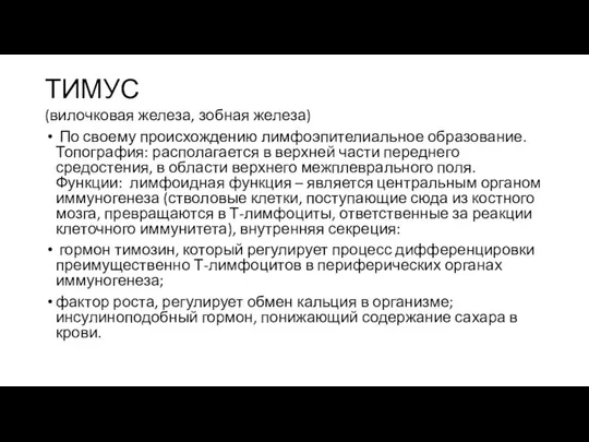 ТИМУС (вилочковая железа, зобная железа) По своему происхождению лимфоэпителиальное образование. Топография: