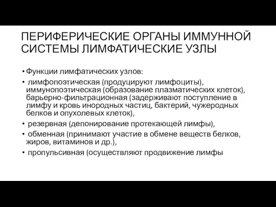 ПЕРИФЕРИЧЕСКИЕ ОРГАНЫ ИММУННОЙ СИСТЕМЫ ЛИМФАТИЧЕСКИЕ УЗЛЫ Функции лимфатических узлов: лимфопоэтическая (продуцируют