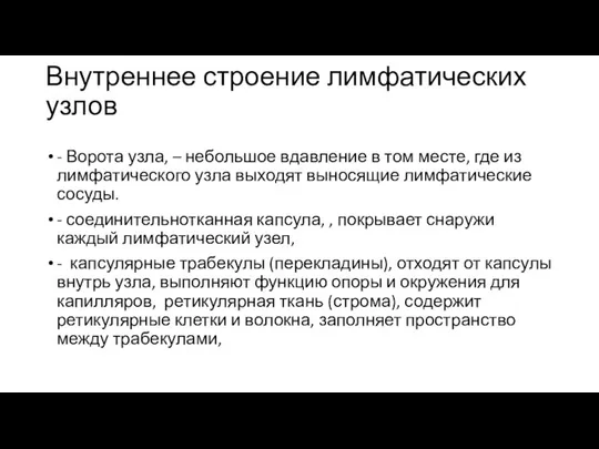 Внутреннее строение лимфатических узлов - Ворота узла, – небольшое вдавление в