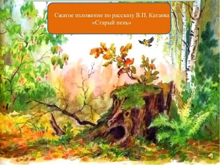 Сжатое изложение по рассказу В.П. Катаева «Старый пень»