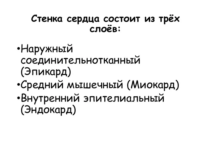 Стенка сердца состоит из трёх слоёв: Наружный соединительнотканный (Эпикард) Средний мышечный (Миокард) Внутренний эпителиальный (Эндокард)