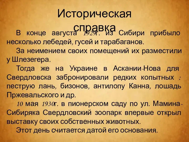 В конце августа 1929г. из Сибири прибыло несколько лебедей, гусей и