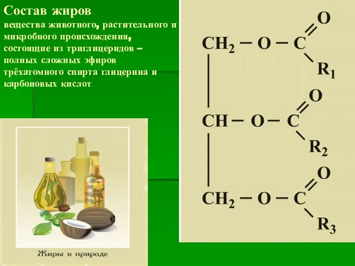 Состав жиров вещества животного, растительного и микробного происхождения, состоящие из триглицеридов