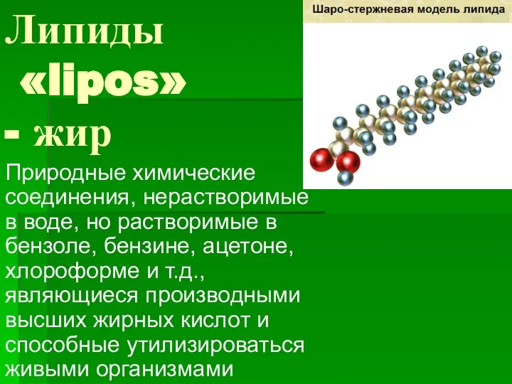 Липиды «lipos» - жир Природные химические соединения, нерастворимые в воде, но