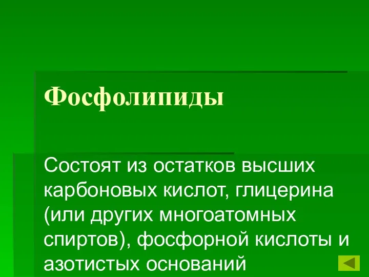 Фосфолипиды Состоят из остатков высших карбоновых кислот, глицерина (или других многоатомных