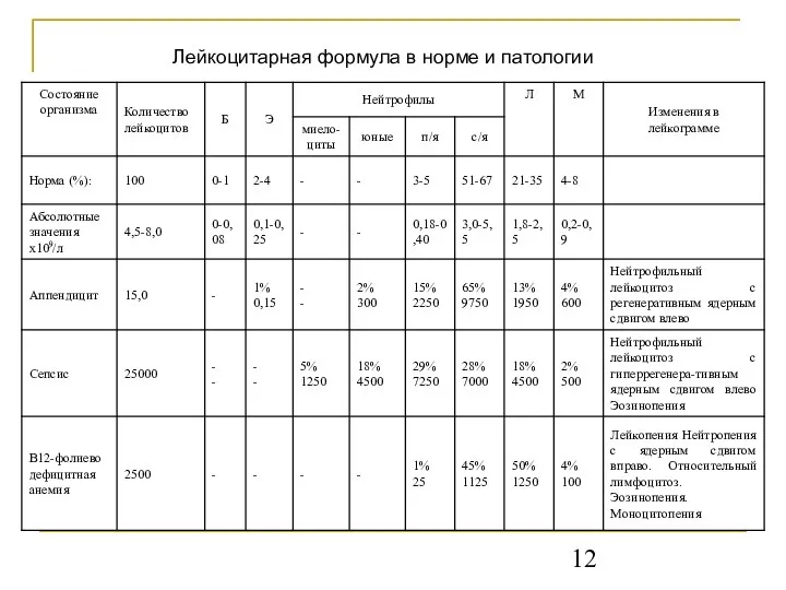 Лейкоцитарная формула в норме и патологии