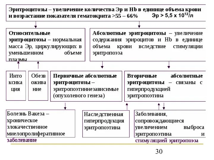 Эр > 5,5 х 1012/л