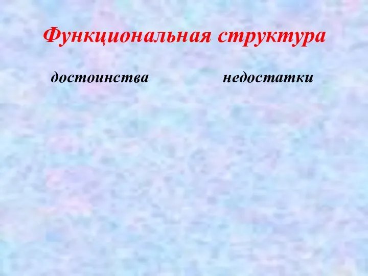 Функциональная структура достоинства недостатки