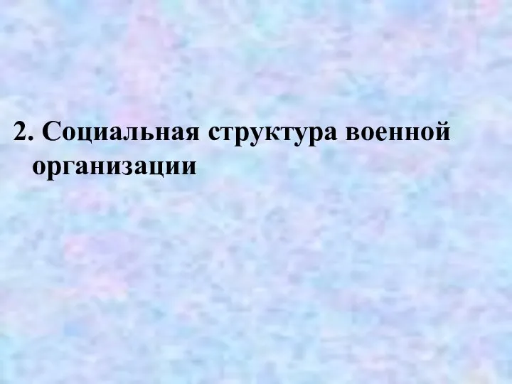 2. Социальная структура военной организации