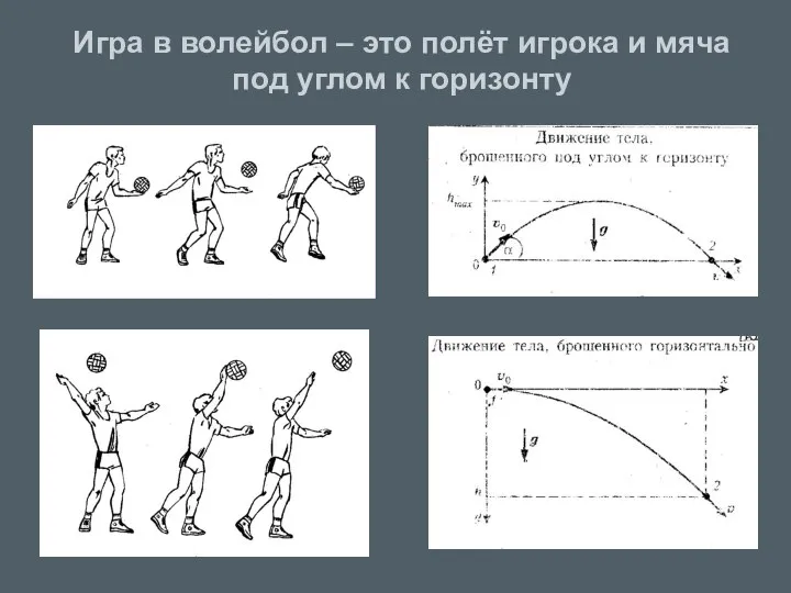 Игра в волейбол – это полёт игрока и мяча под углом к горизонту