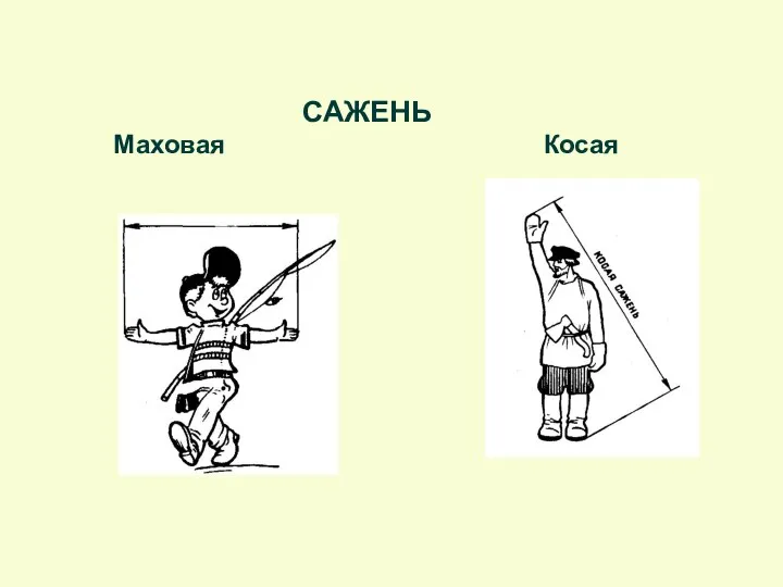 САЖЕНЬ Маховая Косая