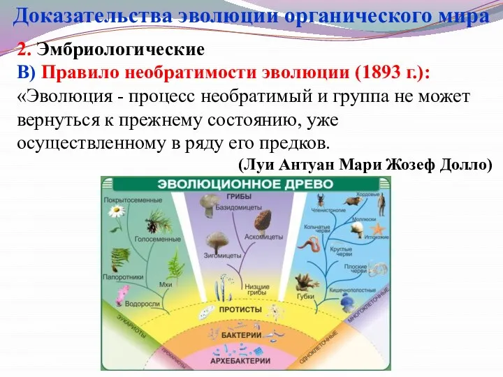 2. Эмбриологические В) Правило необратимости эволюции (1893 г.): «Эволюция - процесс