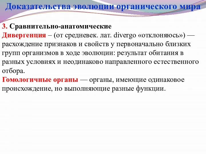 3. Сравнительно-анатомические Дивергенция – (от средневек. лат. divergo «отклоняюсь») — расхождение