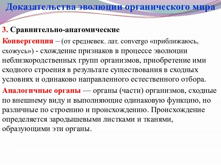 3. Сравнительно-анатомические Конвергенция – (от средневек. лат. convergo «приближаюсь, схожусь») -