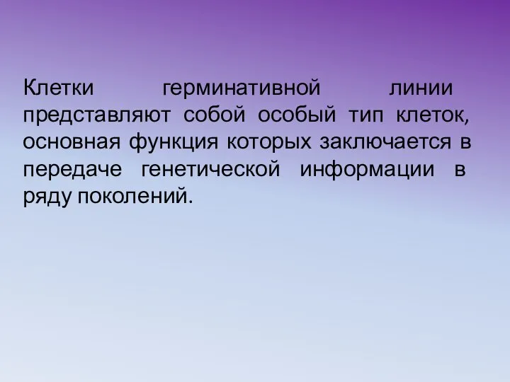 Клетки герминативной линии представляют собой особый тип клеток, основная функция которых