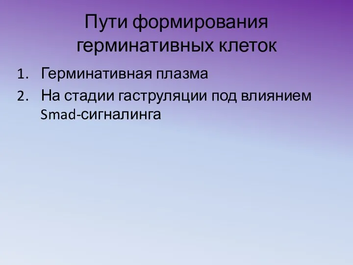 Пути формирования герминативных клеток Герминативная плазма На стадии гаструляции под влиянием Smad-сигналинга