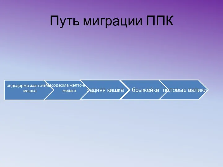 Путь миграции ППК