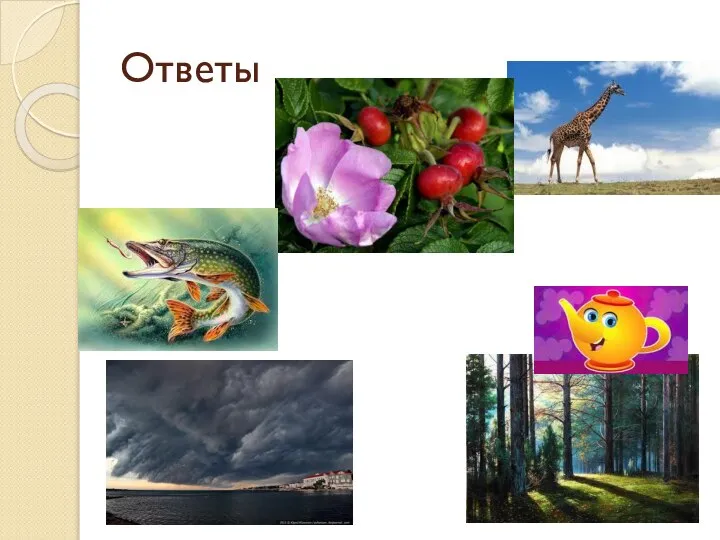 Ответы