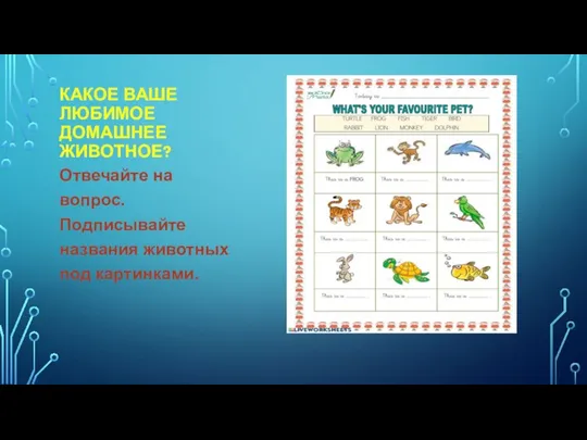 КАКОЕ ВАШЕ ЛЮБИМОЕ ДОМАШНЕЕ ЖИВОТНОЕ? Отвечайте на вопрос. Подписывайте названия животных под картинками.