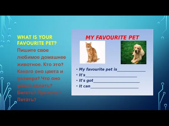 WHAT IS YOUR FAVOURITE PET? Пишите свое любимое домашнее животное. Кто