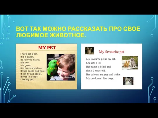 ВОТ ТАК МОЖНО РАССКАЗАТЬ ПРО СВОЕ ЛЮБИМОЕ ЖИВОТНОЕ.