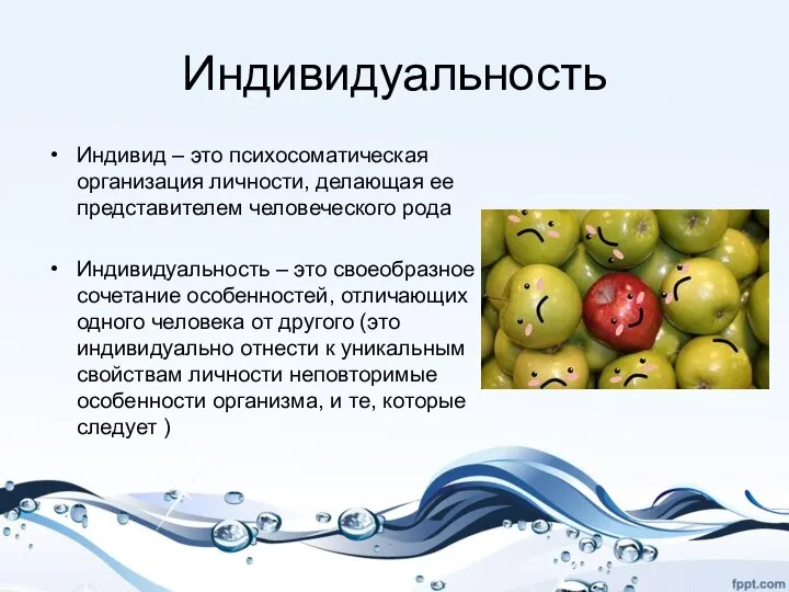 Индивидуальность Индивид – это психосоматическая организация личности, делающая ее представителем человеческого