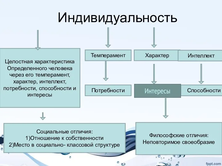 Индивидуальность Целостная характеристика Определенного человека через его темперамент, характер, интеллект, потребности, способности и интересы