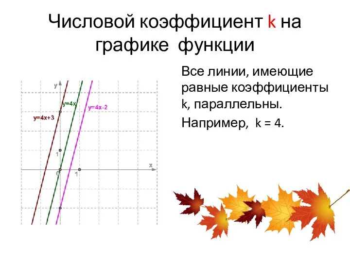 Числовой коэффициент k на графике функции Все линии, имеющие равные коэффициенты