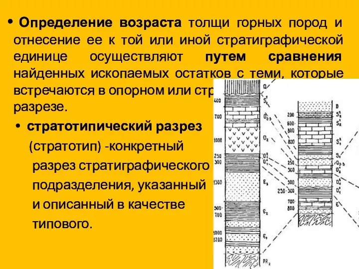 Определение возраста толщи горных пород и отнесение ее к той или