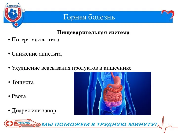 Горная болезнь Пищеварительная система Потеря массы тела Снижение аппетита Ухудшение всасывания