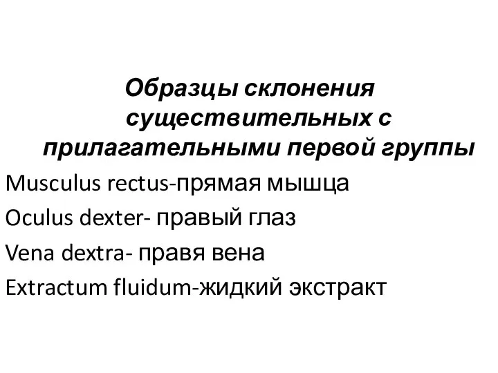 Образцы склонения существительных с прилагательными первой группы Musculus rectus-прямая мышца Oculus