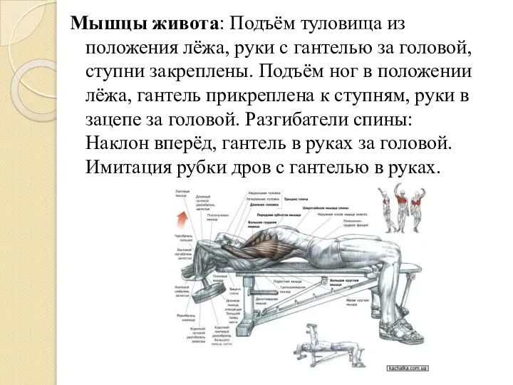 Мышцы живота: Подъём туловища из положения лёжа, руки с гантелью за