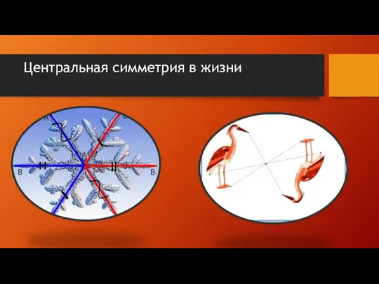 Центральная симметрия в жизни