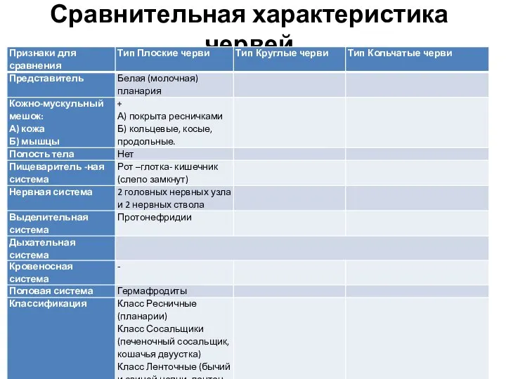 Сравнительная характеристика червей