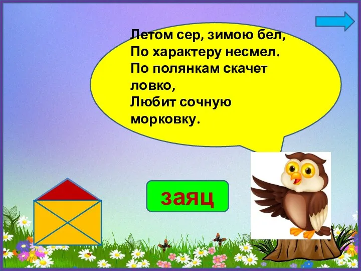 Летом сер, зимою бел, По характеру несмел. По полянкам скачет ловко, Любит сочную морковку. заяц