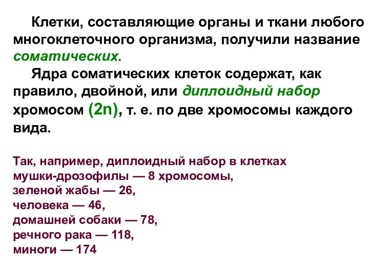 Клетки, составляющие органы и ткани любого многоклеточного организма, получили название соматических.