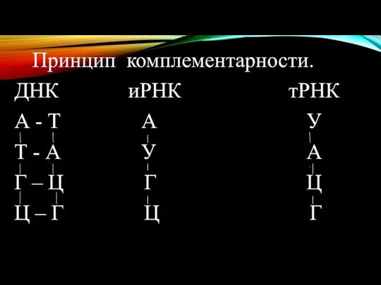 Принцип комплементарности. ДНК иРНК тРНК А - Т А У Т