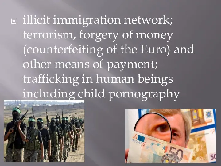 illicit immigration network; terrorism, forgery of money (counterfeiting of the Euro)