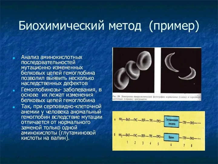 Биохимический метод (пример) Анализ аминокислотных последовательностей мутационно измененных белковых цепей гемоглобина