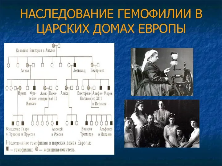 НАСЛЕДОВАНИЕ ГЕМОФИЛИИ В ЦАРСКИХ ДОМАХ ЕВРОПЫ