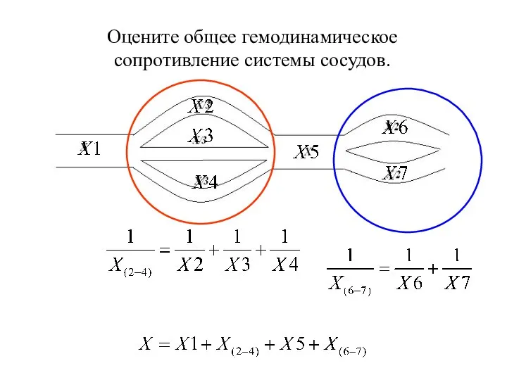 Оцените общее гемодинамическое сопротивление системы сосудов.