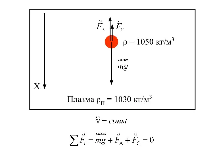 Плазма ρП = 1030 кг/м3 ρ = 1050 кг/м3 Х